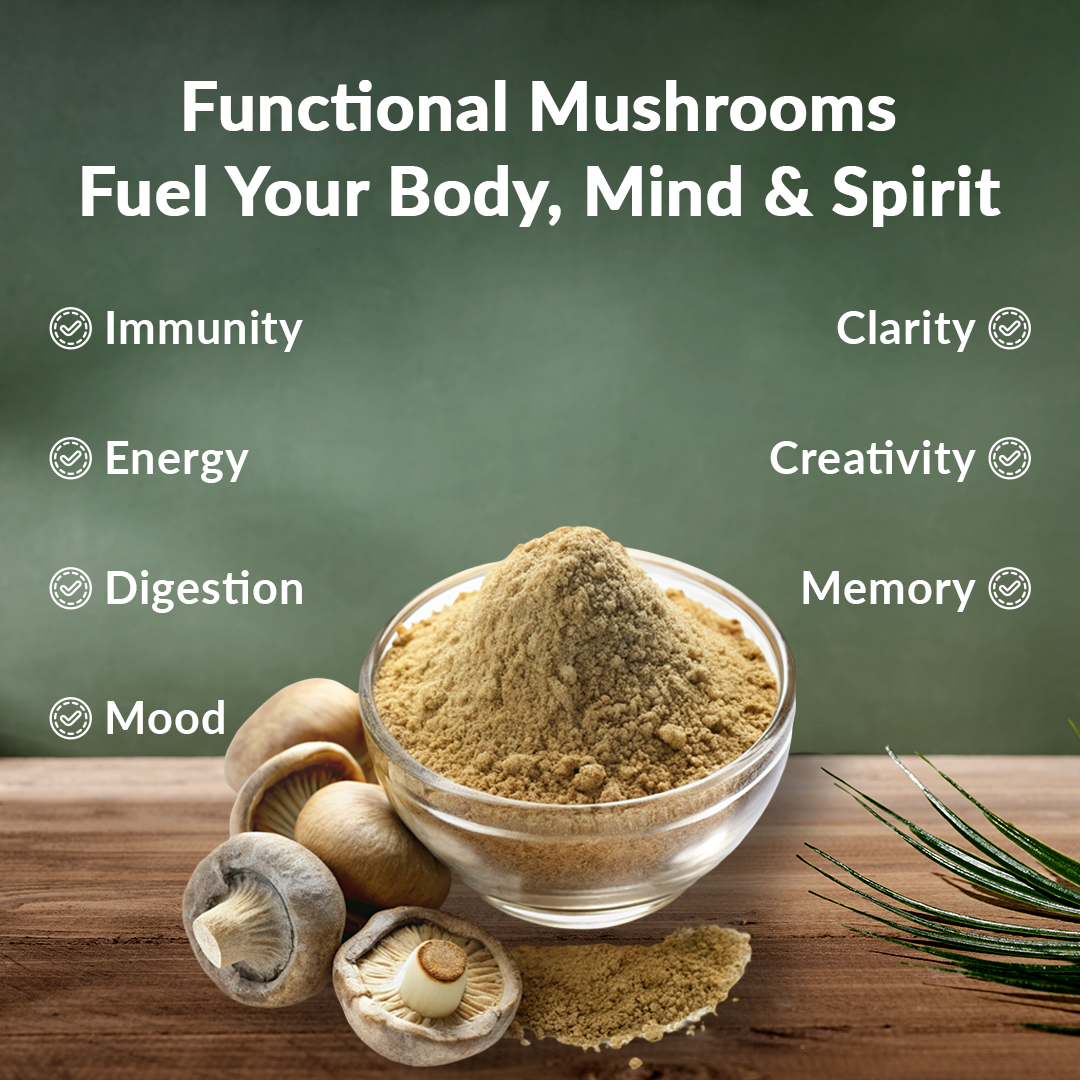 Organic LIon's Mane Mushroom Extract Powder