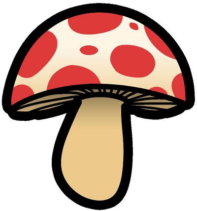 Hongos | Mushroom Supplements